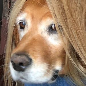 Meet your Posher, Carly